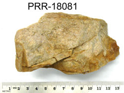 Photo of sample