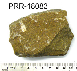 Photo of sample