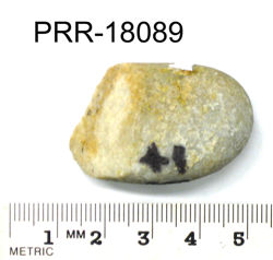Photo of sample