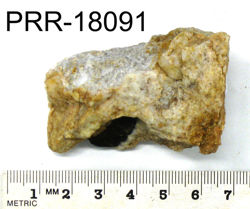 Photo of sample
