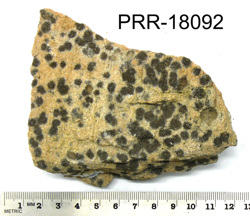 Photo of sample