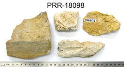 Photo of sample