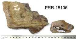 Photo of sample