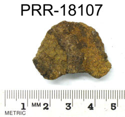 Photo of sample