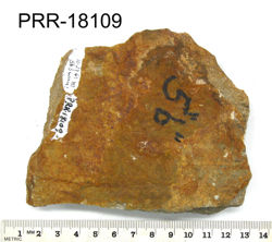 Photo of sample