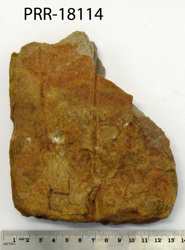 Photo of sample