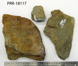 Photo of sample