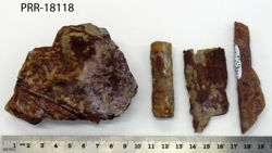Photo of sample