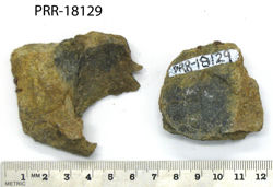 Photo of sample
