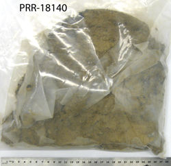 Photo of sample