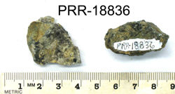 Photo of sample
