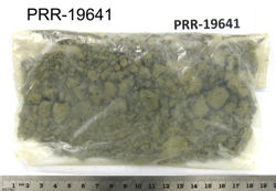 Photo of sample