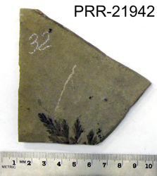 Photo of sample