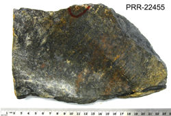 Photo of sample