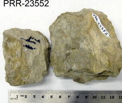 Photo of sample