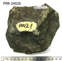 Photo of sample