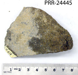 Photo of sample