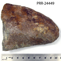 Photo of sample