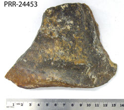 Photo of sample