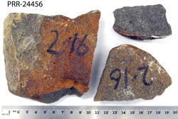 Photo of sample