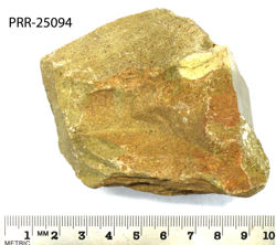 Photo of sample