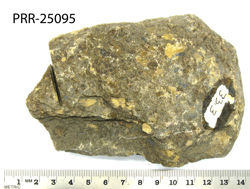 Photo of sample