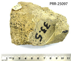 Photo of sample