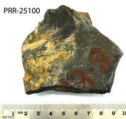 Photo of sample