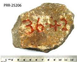 Photo of sample