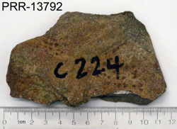 Photo of sample