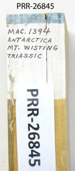 Photo of sample