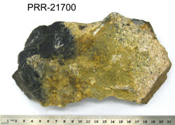 Photo of sample