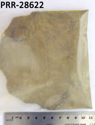 Photo of sample