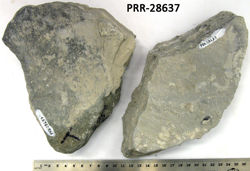 Photo of sample