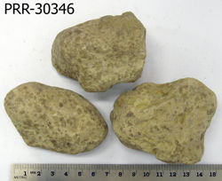 Photo of sample