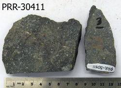 Photo of sample