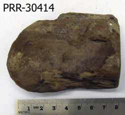 Photo of sample