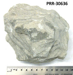 Photo of sample