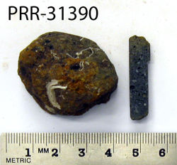 Photo of sample