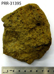 Photo of sample