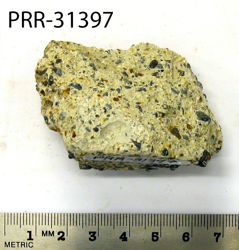 Photo of sample