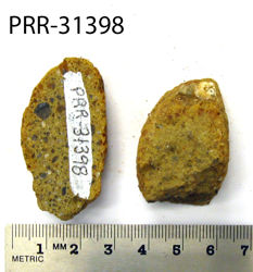 Photo of sample