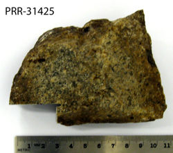 Photo of sample