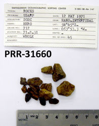 Photo of sample