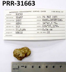 Photo of sample