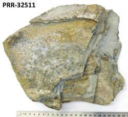 Photo of sample
