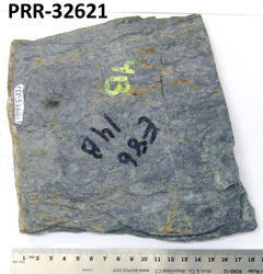 Photo of sample